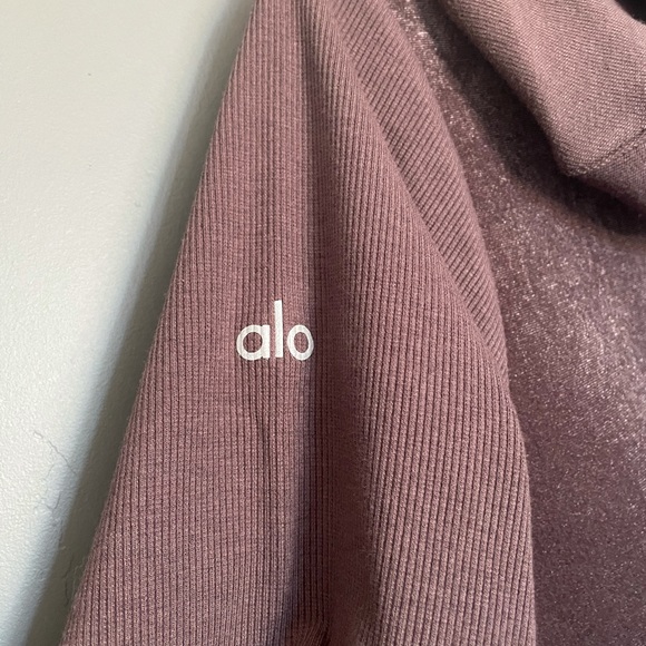 ALO YOGA Luxe Velour Long Sleeve Hoodie in Raisin - Picture 6 of 7